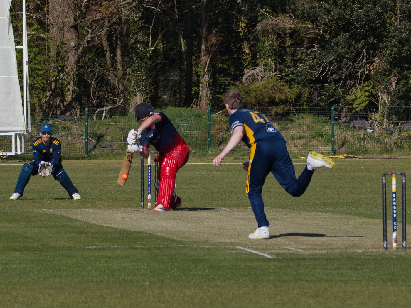 Action shot: Northern Ireland's Conor Cox bowling to new Bangor Wales' signing Jamie Grimshaw